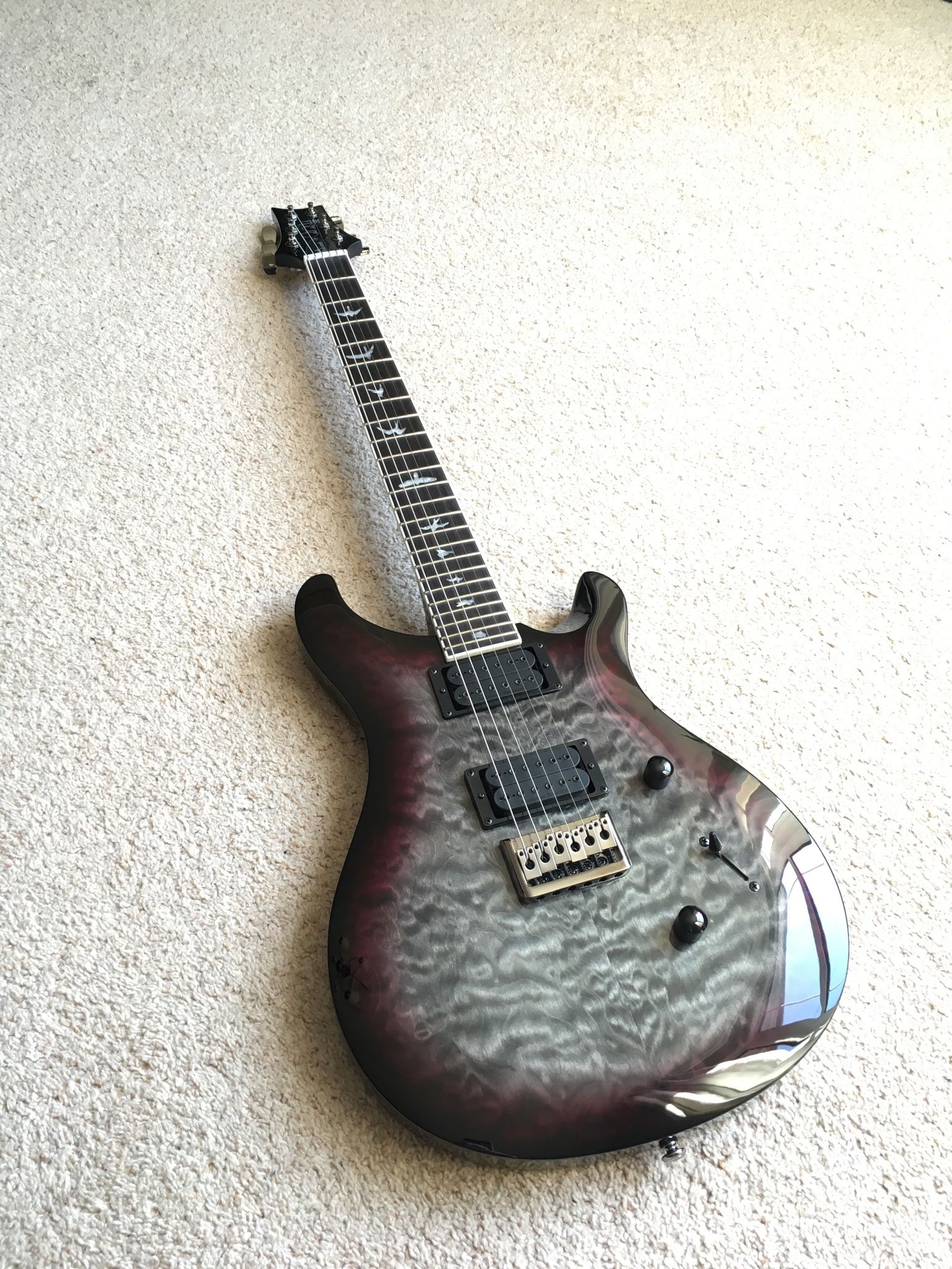 PRS Mark Holcomb SE Signature 6 String