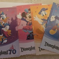 Disneyland 1 day 1 park tickets