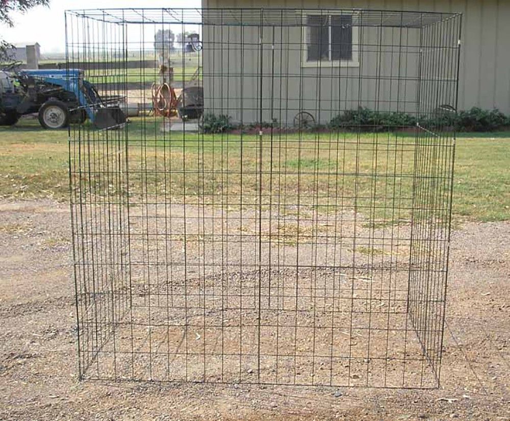 Cages For Roosters 