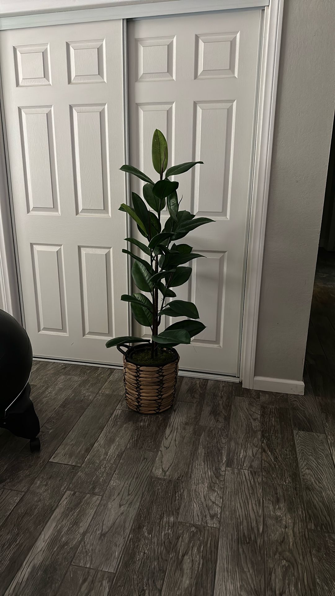 Faux Plant