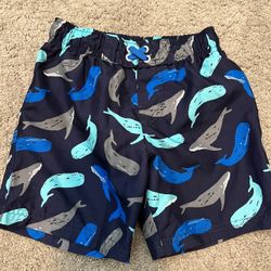 Boys Swim Trunks