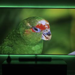 BenQ Projector, 116" screen custom with mount