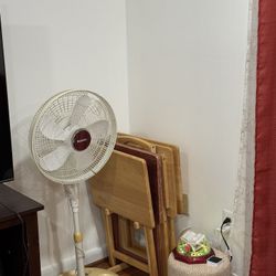 Fan And 6 Snack Tray Tables 
