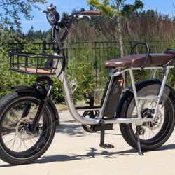 New Ebike RadRunner Plus Electric Cargo Utility Bike electric bike for sale