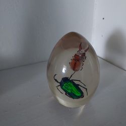 Bug Resin Paperweight 