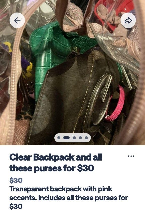 Thank You Backpack With All These Purses Included