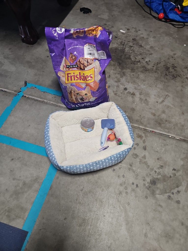 Free Cat Stuff