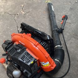 Echo Blower 