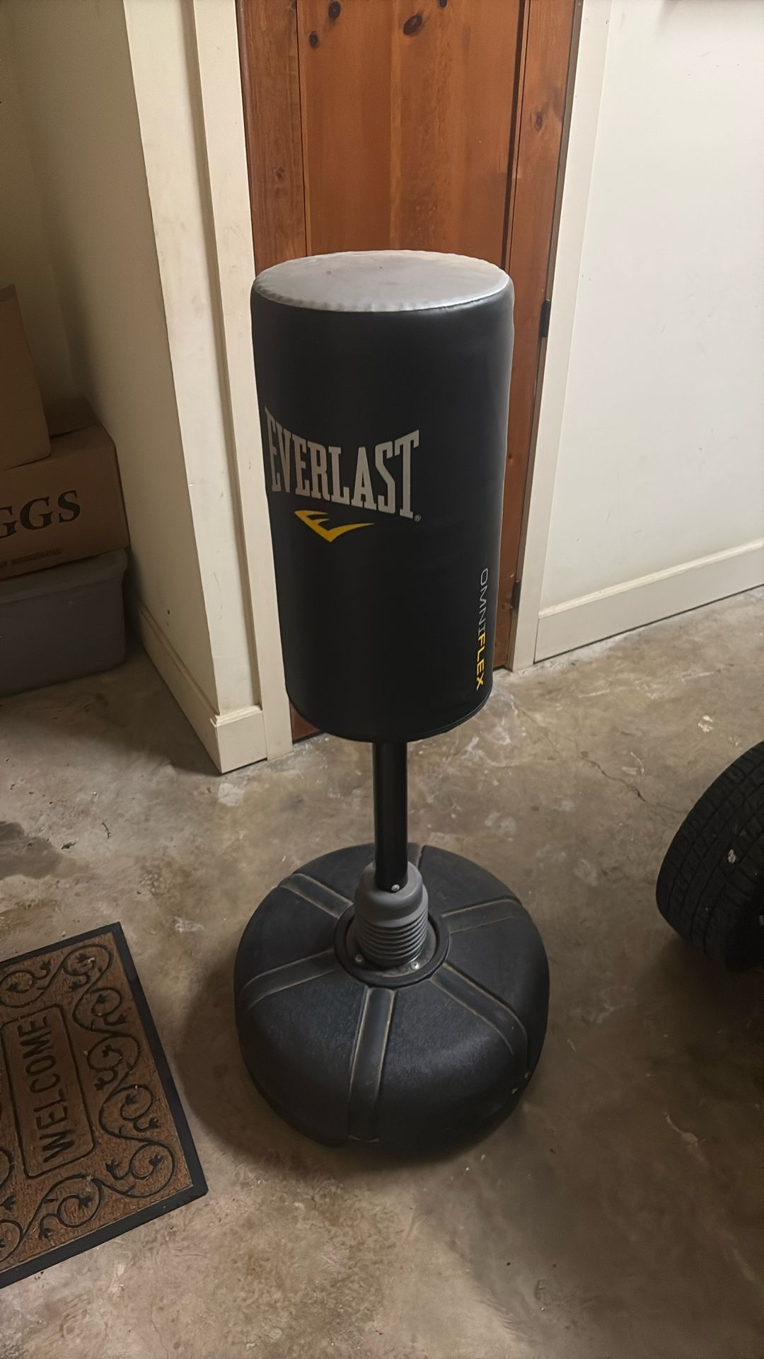 Everlast Punching Bag