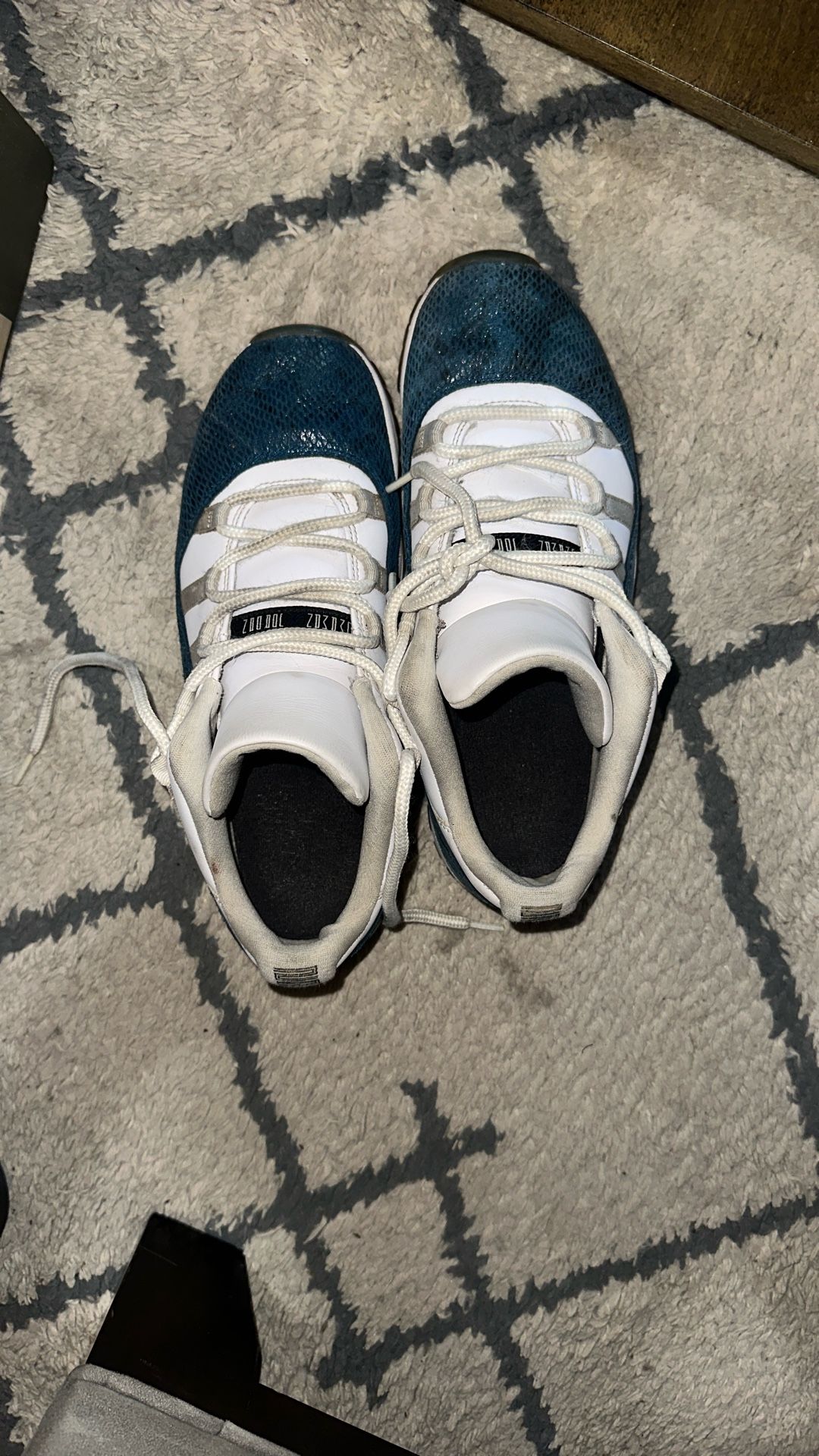 Jordan Snake Skin 11s