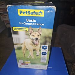 In Ground Dog Fence