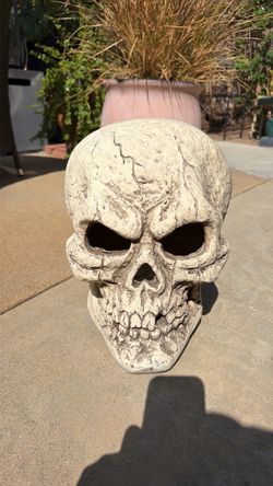 Decorative Resin Skull