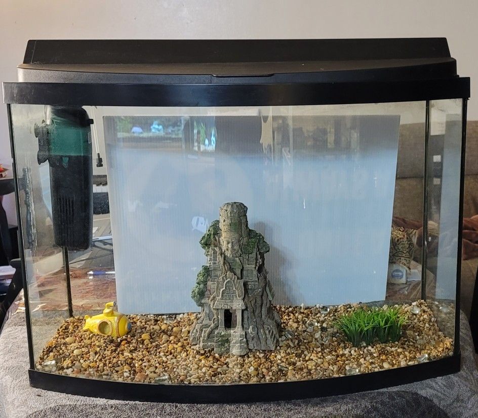 40 Gallon Bow Front fish tank