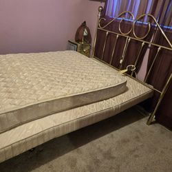 Free! Queen Size Medical Hydraulic Adjustable Bed