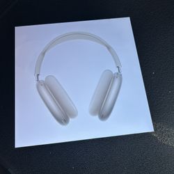 Apple - AirPods Max (beige)