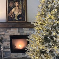 Vintage art  “Lady  of Castile” by Jose Puvet. 