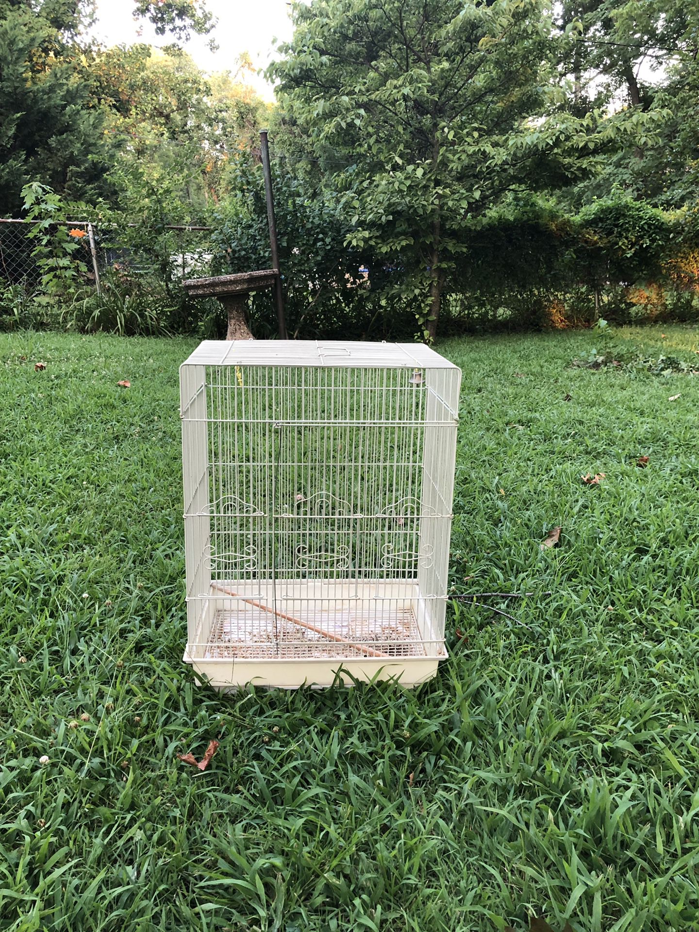 Simple bird cage