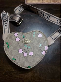 Coach cartoon side bag