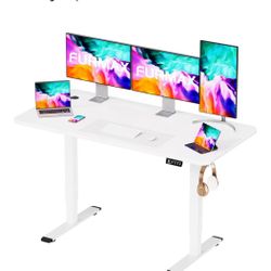 Electric Adjustable Desk 