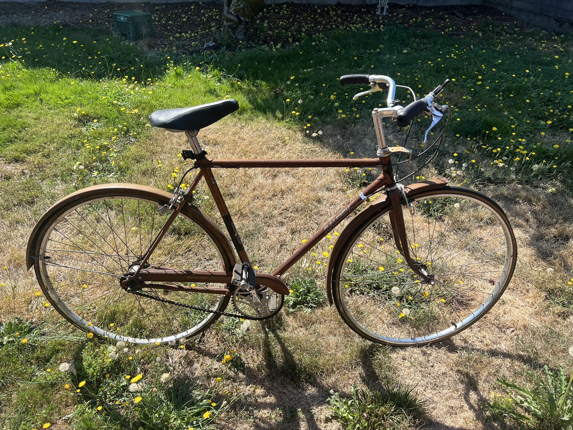 Vintage Raleigh Bike