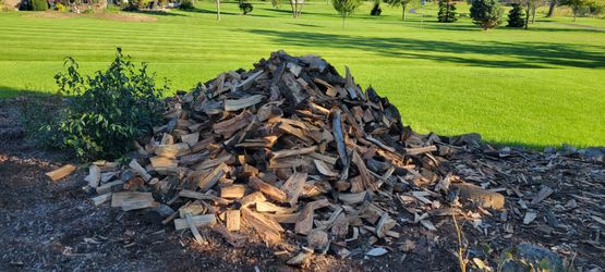 Firewood