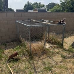 Dog Kennel 