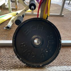 45 Pound Metal Weight Plates GYM HOMEGYM