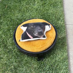 Dog And Cat 🐈‍⬛ Bed