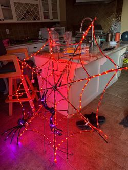 Halloween Spider Web Light-Up Decor – $20