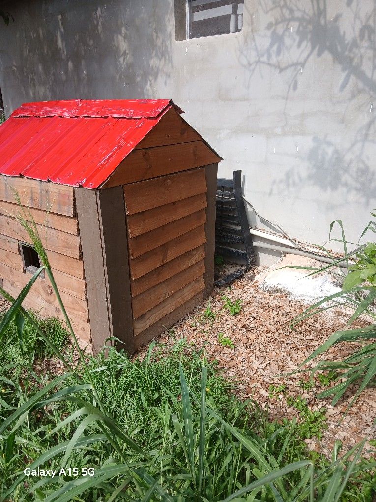 Dog House