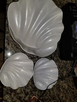 Shell bowls