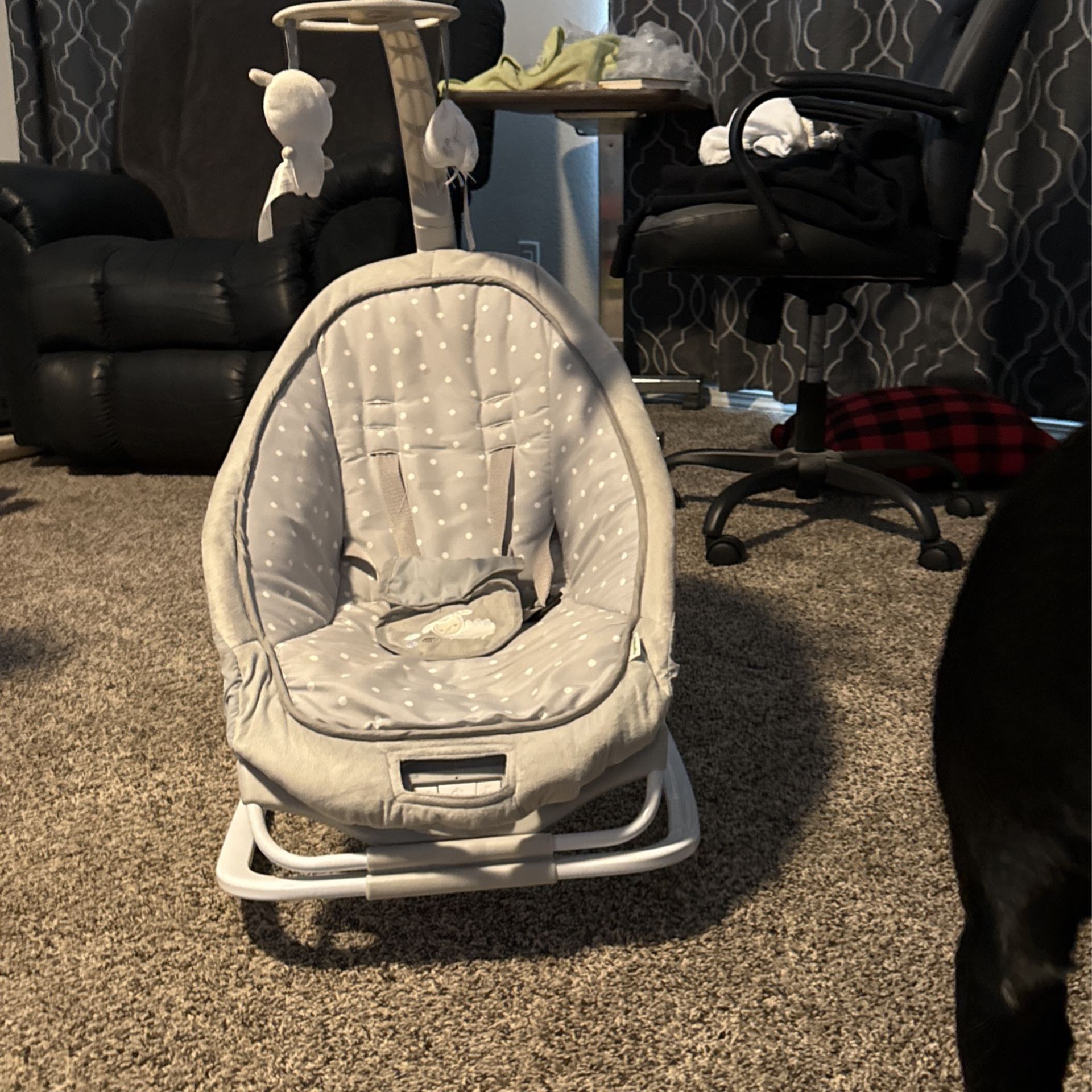Ingenuity Baby Bouncer