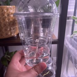 Self-watering Humidity Dome Pots