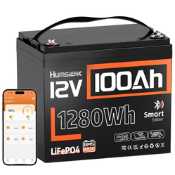 12v 100ah LiFeP04 Smart Lithium Battery with Bluetooth (Group 24) Deep Cycle Battery Boat/RV/Home Backup 100a BMS