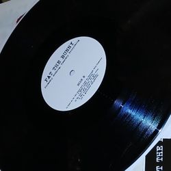 ORIGINAL Pat The Bunny FIRST PRESS Probably Nothing, Possibly Everything (2014)  FOLK Tuscon AZ. PUNK Vinyl Record HTF