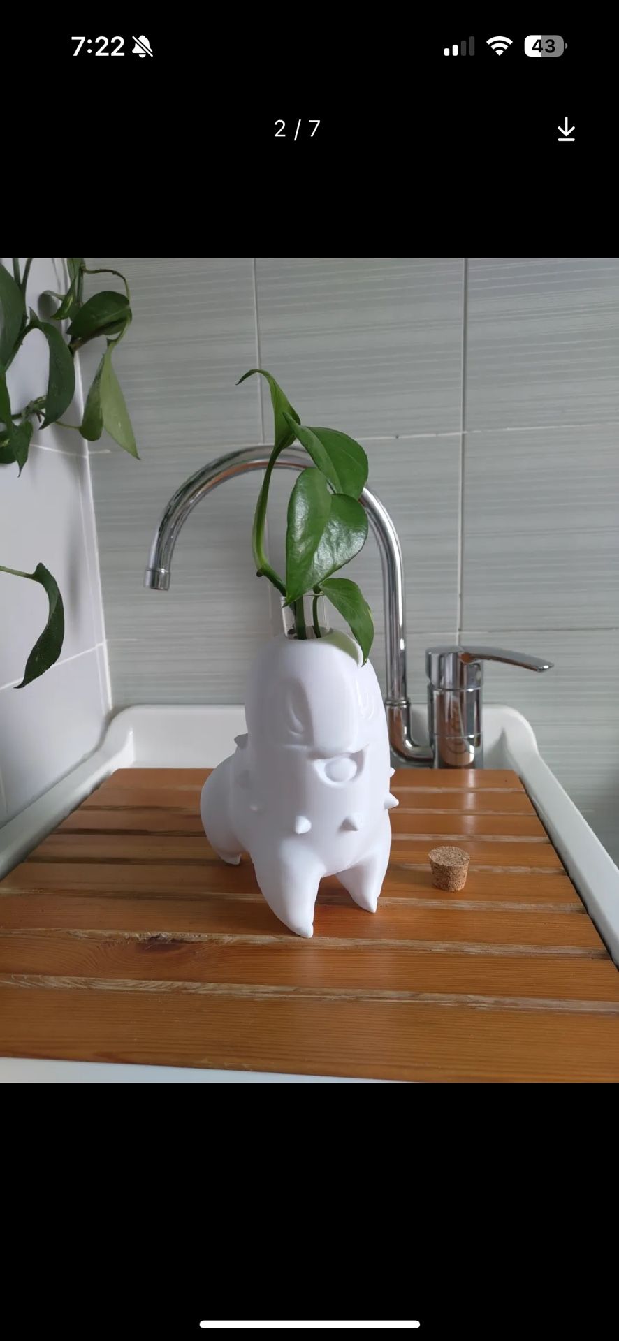 Pokemon Chikorita Planter