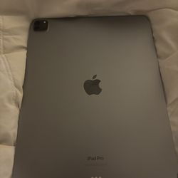 iPad Pro 13 inch