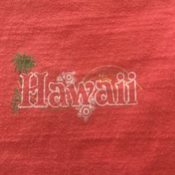 Hawaiian princess cruise T-shirt Size large 