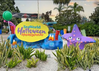 Sea World San Diego ticket