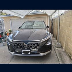 2022 Hyundai Nexo-$10,700