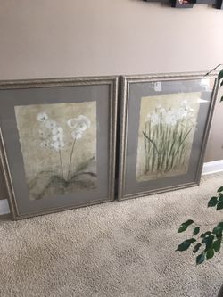 Pictures