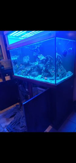 120 Gallon Aquarium