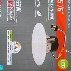 Halo Light Fixtures 