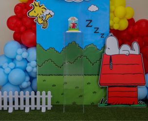 Snoopy Party Decorations Birthday