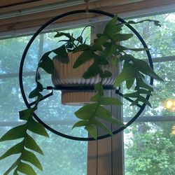 Sculptural Hanging Planter | Contemporary | Architectural | Round Iron Black Plant Hanger