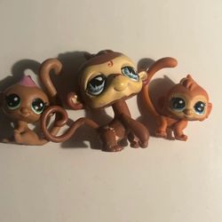 LPS monkeys (485)