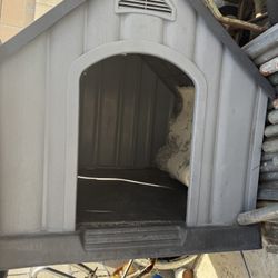 Dog House