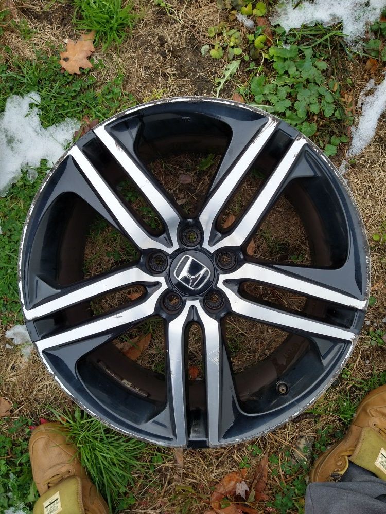 Accord sports 19s