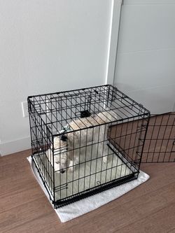 Brand new, 24" dog crate. Two available.