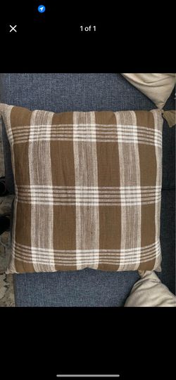 2 20x20 Pillows For $20 - Studio Mcgee